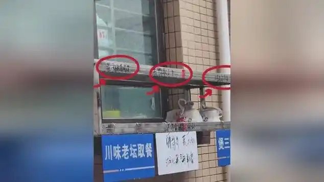 东莞“一窗六店”奇观引爆网络，体坛快讯热力不减
