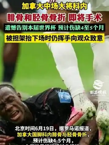 加国核心科内手术成功赛季报销 世界杯剩余赛程蒙阴影